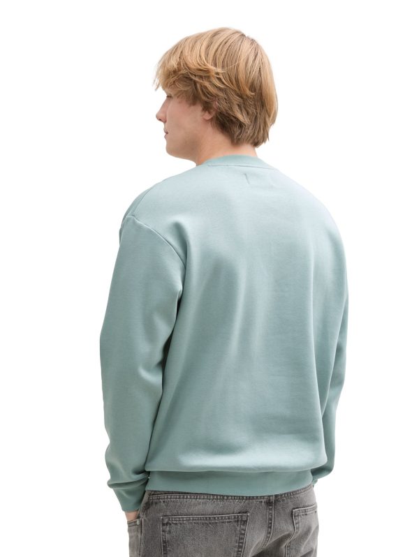 crewneck-sweatshirt-Tom-Tailor-250122144509.jpg Tom-Tailor Trui