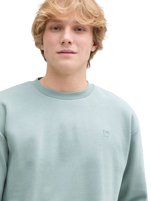 crewneck-sweatshirt-Tom-Tailor-250122144513.jpg Tom-Tailor Trui