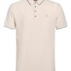 Gabbiano polo