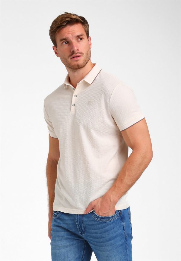 Gabbiano polo