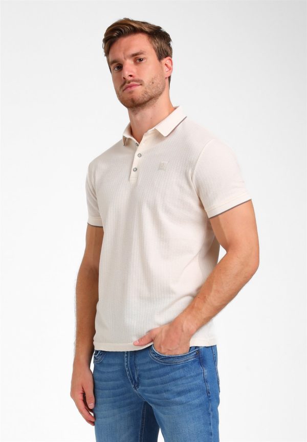Gabbiano polo