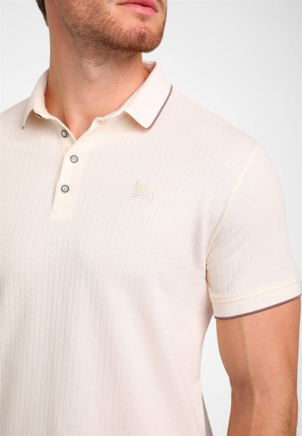Gabbiano polo