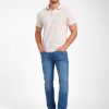 Gabbiano polo