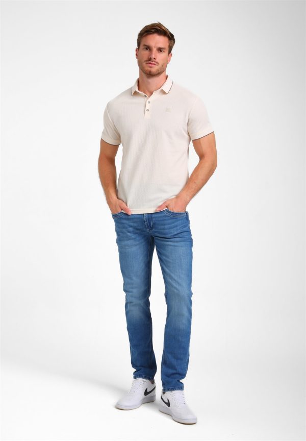 Gabbiano polo