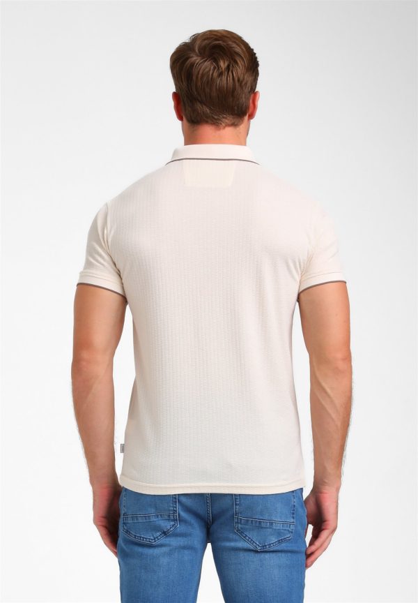 Gabbiano polo