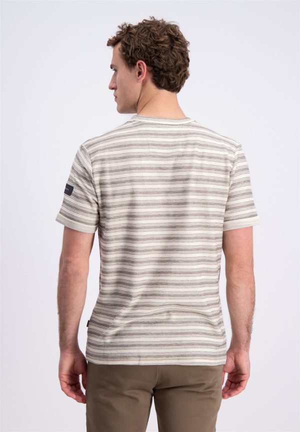 Gabbiano T shirt Sovla